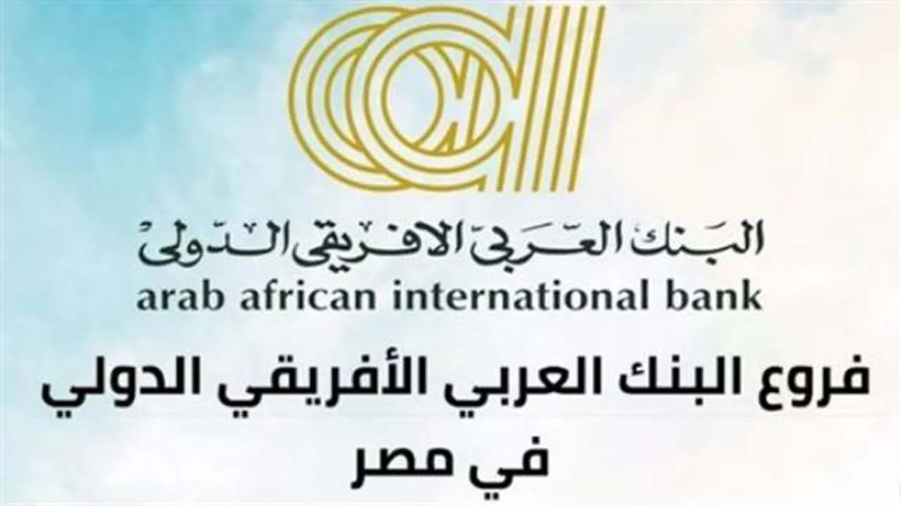 تحكم في مدخراتك.. مزايا حساب الشباب التلقائي بالبنك العربي الأفريقي الدولي